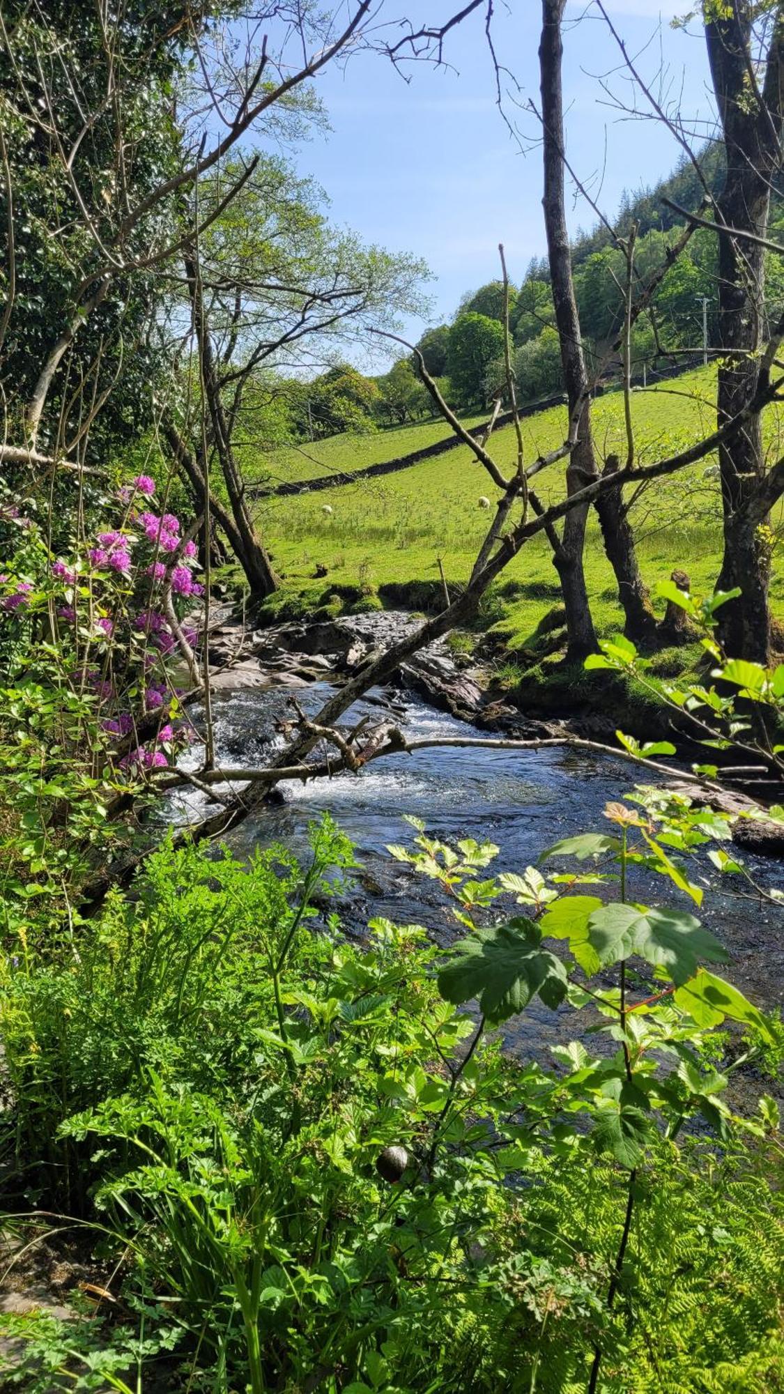 The Granary Corris On The Edge Of The Dyfi Forest Exterior photo